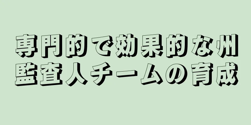 専門的で効果的な州監査人チームの育成