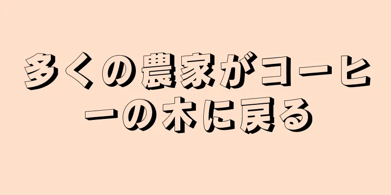 多くの農家がコーヒーの木に戻る