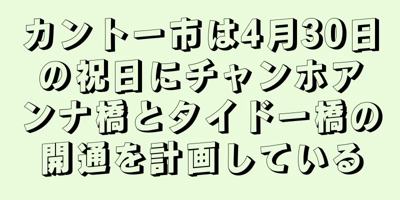 カントー市は4月30日の祝日にチャンホアンナ橋とタイドー橋の開通を計画している