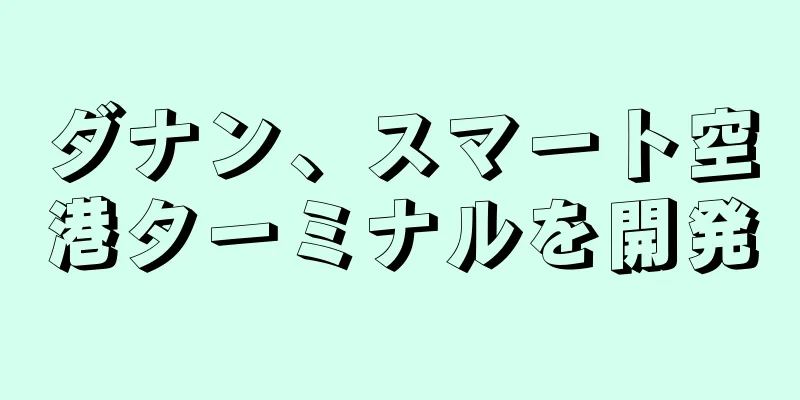 ダナン、スマート空港ターミナルを開発