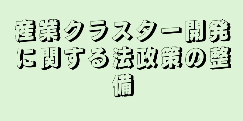 産業クラスター開発に関する法政策の整備