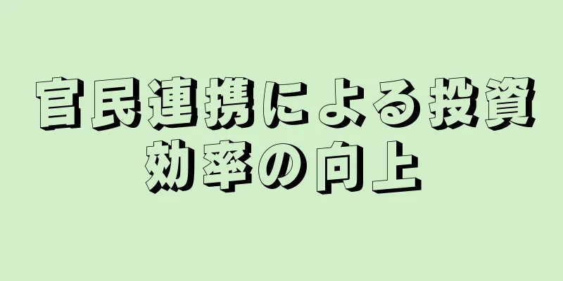 官民連携による投資効率の向上