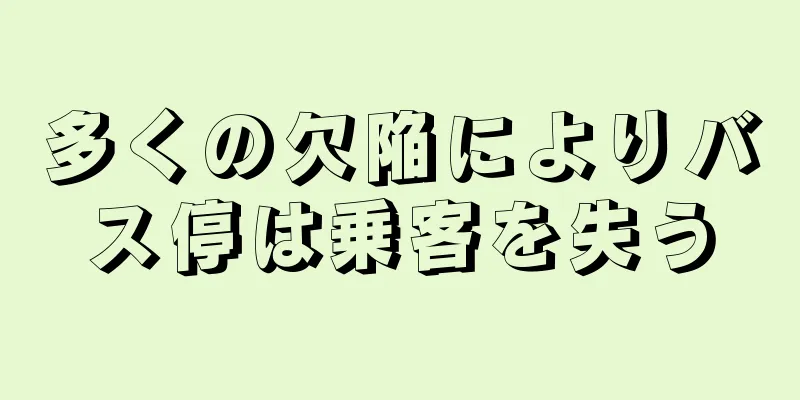多くの欠陥によりバス停は乗客を失う