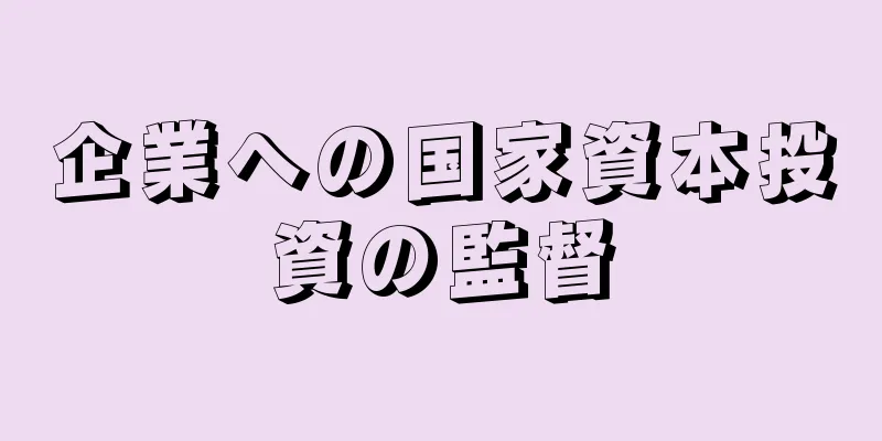企業への国家資本投資の監督