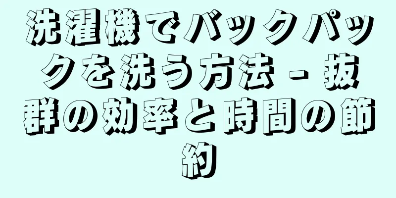 洗濯機でバックパックを洗う方法 - 抜群の効率と時間の節約