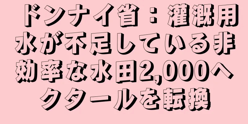 ドンナイ省：灌漑用水が不足している非効率な水田2,000ヘクタールを転換