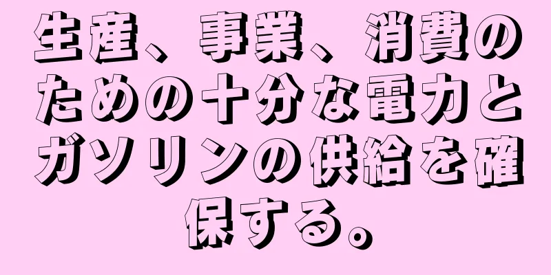 生産、事業、消費のための十分な電力とガソリンの供給を確保する。