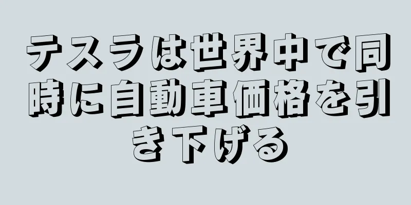 テスラは世界中で同時に自動車価格を引き下げる