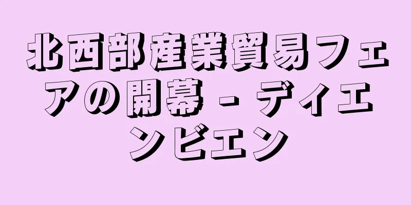 北西部産業貿易フェアの開幕 - ディエンビエン