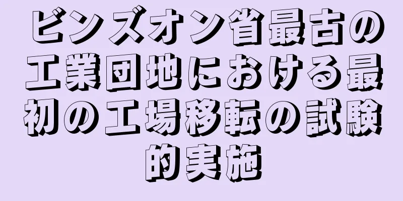ビンズオン省最古の工業団地における最初の工場移転の試験的実施