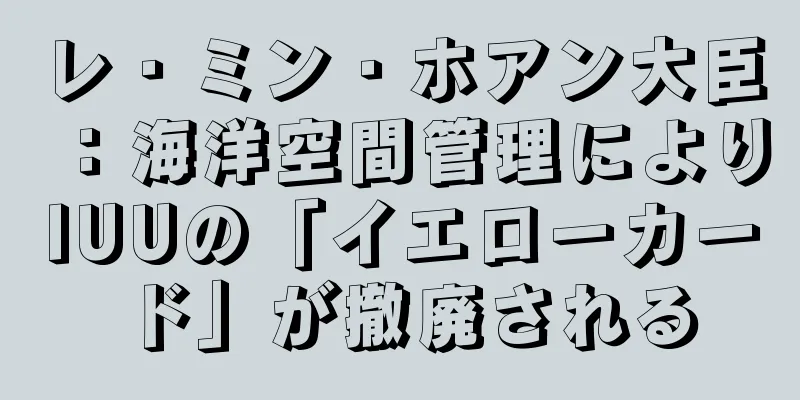 レ・ミン・ホアン大臣：海洋空間管理によりIUUの「イエローカード」が撤廃される