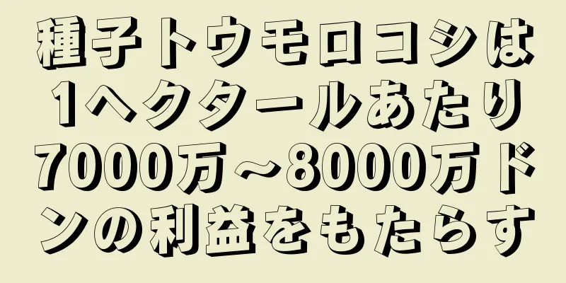 種子トウモロコシは1ヘクタールあたり7000万～8000万ドンの利益をもたらす