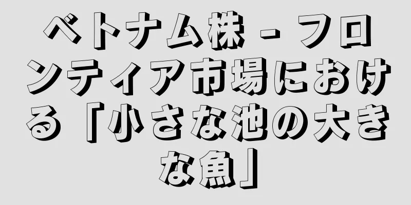 ベトナム株 - フロンティア市場における「小さな池の大きな魚」