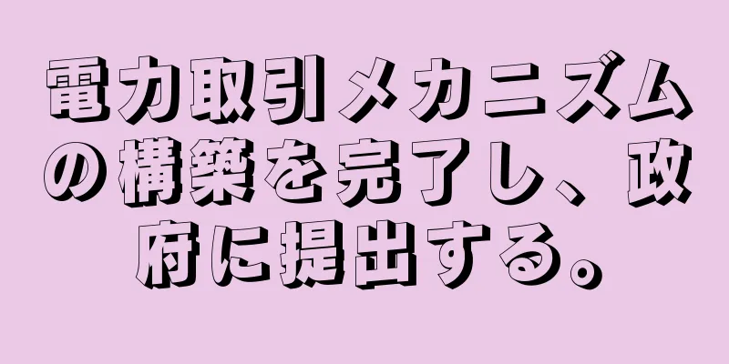 電力取引メカニズムの構築を完了し、政府に提出する。