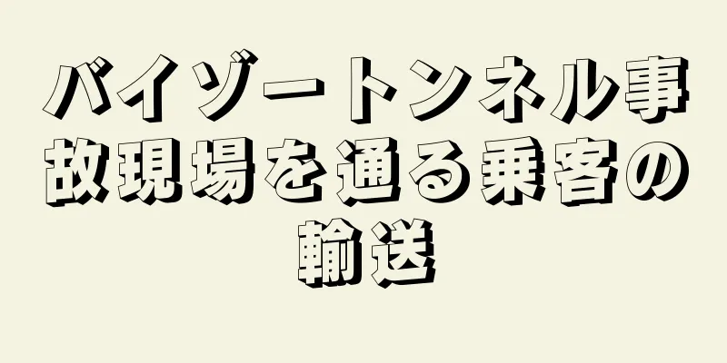 バイゾートンネル事故現場を通る乗客の輸送