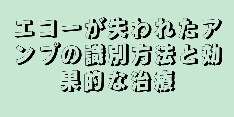 エコーが失われたアンプの識別方法と効果的な治療