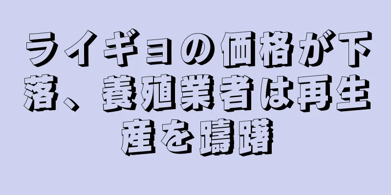 ライギョの価格が下落、養殖業者は再生産を躊躇