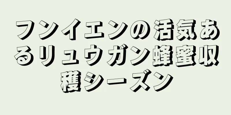 フンイエンの活気あるリュウガン蜂蜜収穫シーズン