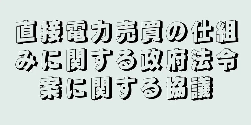 直接電力売買の仕組みに関する政府法令案に関する協議