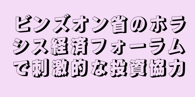 ビンズオン省のホラシス経済フォーラムで刺激的な投資協力
