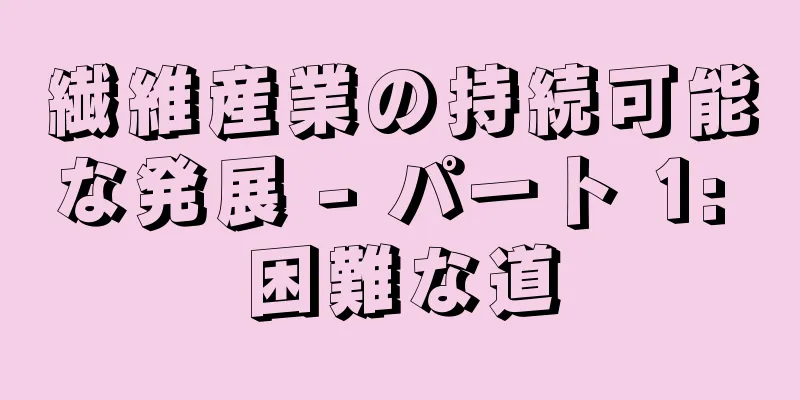 繊維産業の持続可能な発展 - パート 1: 困難な道