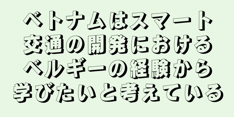 ベトナムはスマート交通の開発におけるベルギーの経験から学びたいと考えている