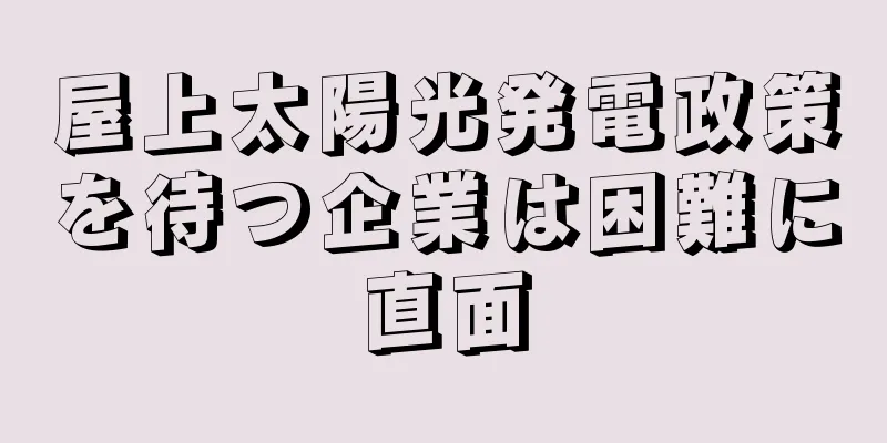 屋上太陽光発電政策を待つ企業は困難に直面