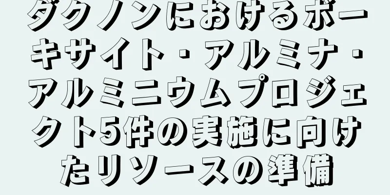ダクノンにおけるボーキサイト・アルミナ・アルミニウムプロジェクト5件の実施に向けたリソースの準備