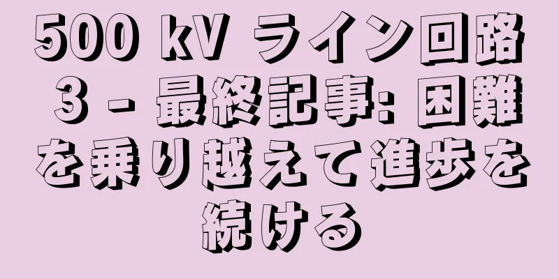 500 kV ライン回路 3 - 最終記事: 困難を乗り越えて進歩を続ける
