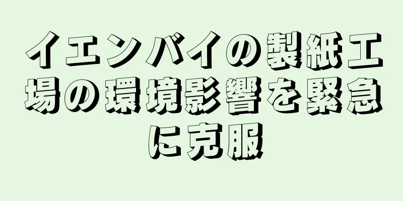 イエンバイの製紙工場の環境影響を緊急に克服
