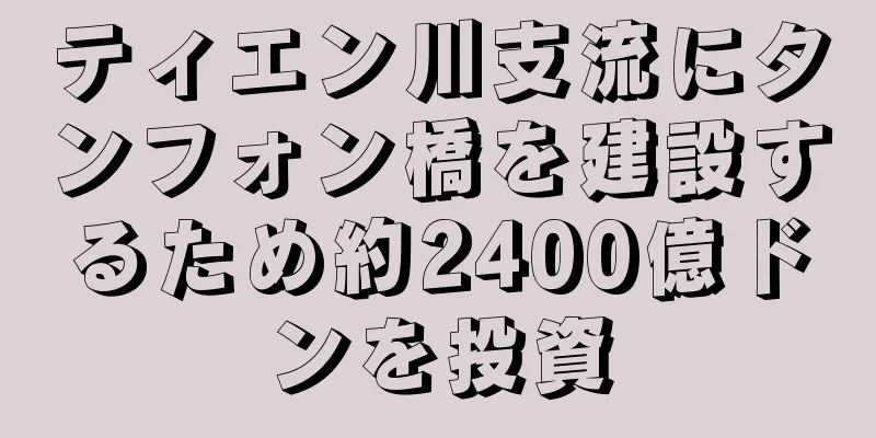 ティエン川支流にタンフォン橋を建設するため約2400億ドンを投資
