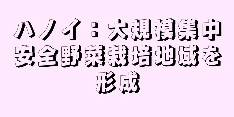 ハノイ：大規模集中安全野菜栽培地域を形成