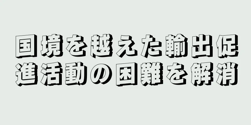 国境を越えた輸出促進活動の困難を解消