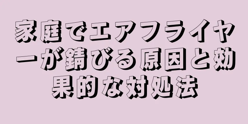 家庭でエアフライヤーが錆びる原因と効果的な対処法