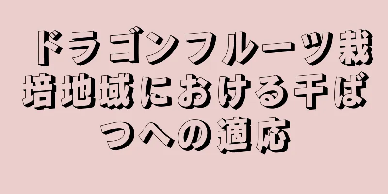 ドラゴンフルーツ栽培地域における干ばつへの適応