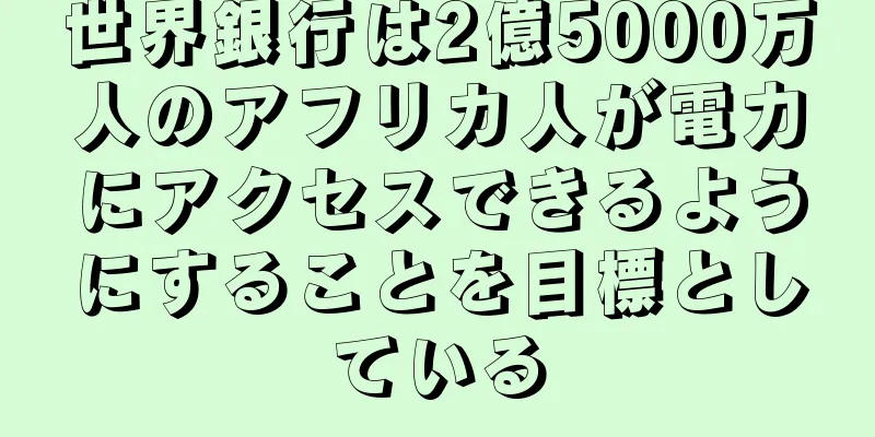 世界銀行は2億5000万人のアフリカ人が電力にアクセスできるようにすることを目標としている
