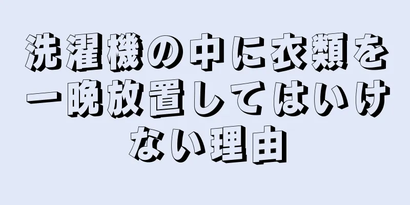 洗濯機の中に衣類を一晩放置してはいけない理由