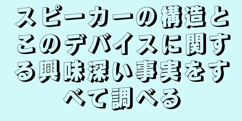 スピーカーの構造とこのデバイスに関する興味深い事実をすべて調べる