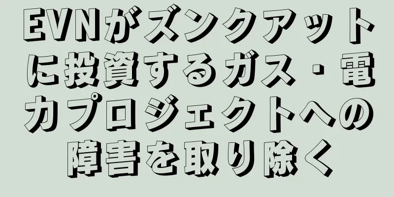 EVNがズンクアットに投資するガス・電力プロジェクトへの障害を取り除く