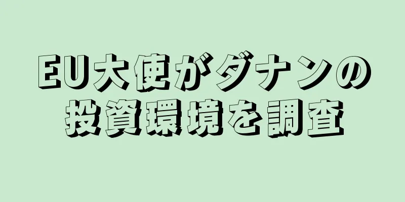 EU大使がダナンの投資環境を調査