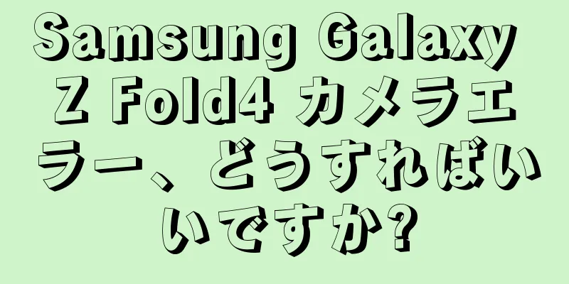 Samsung Galaxy Z Fold4 カメラエラー、どうすればいいですか?