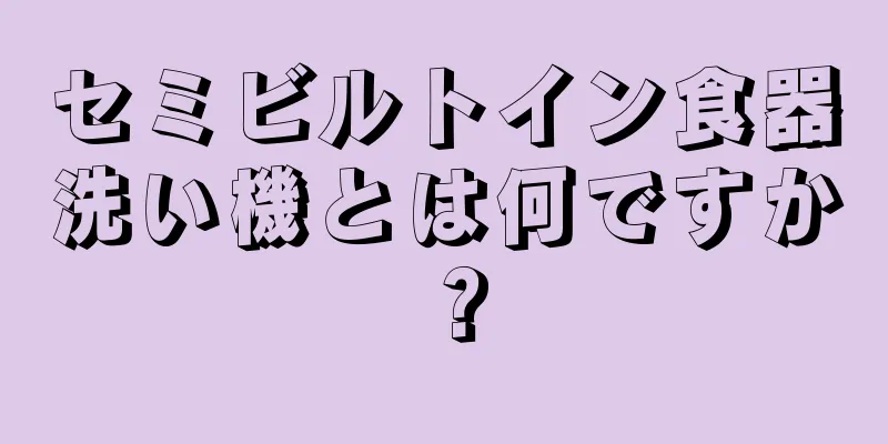セミビルトイン食器洗い機とは何ですか？