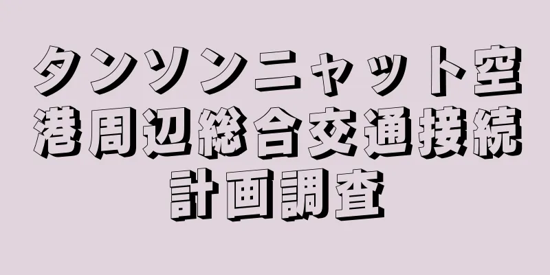 タンソンニャット空港周辺総合交通接続計画調査