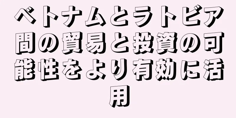 ベトナムとラトビア間の貿易と投資の可能性をより有効に活用