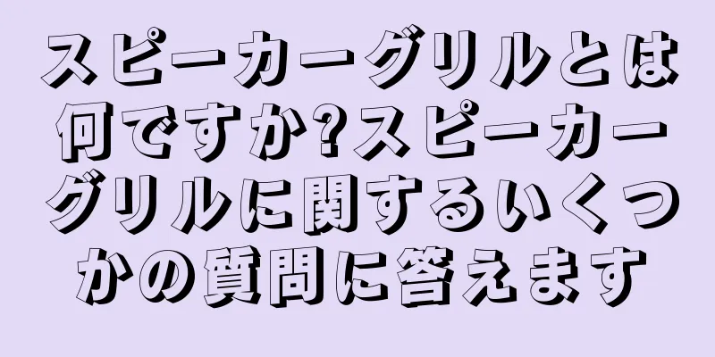 スピーカーグリルとは何ですか?スピーカーグリルに関するいくつかの質問に答えます