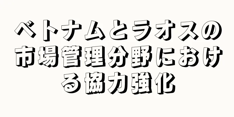 ベトナムとラオスの市場管理分野における協力強化