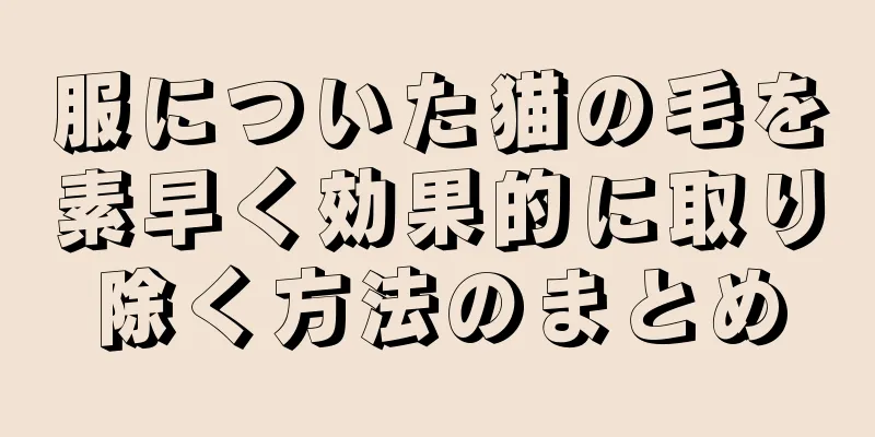 服についた猫の毛を素早く効果的に取り除く方法のまとめ