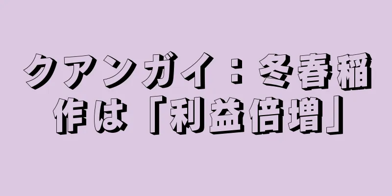 クアンガイ：冬春稲作は「利益倍増」
