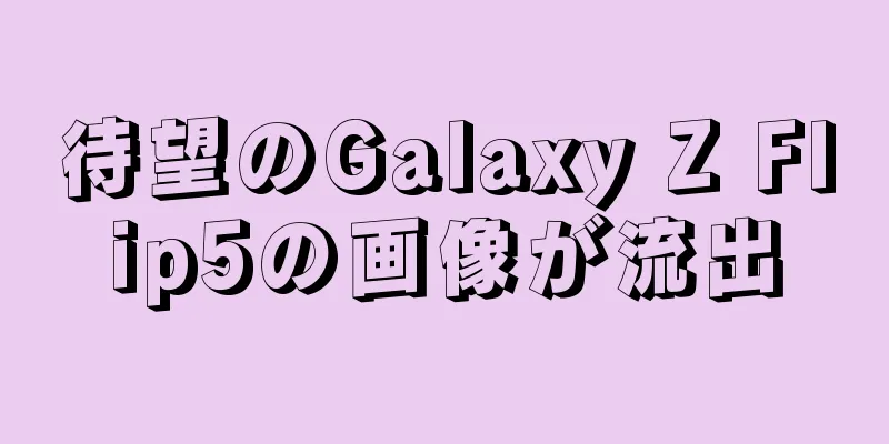 待望のGalaxy Z Flip5の画像が流出