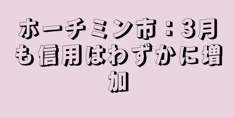 ホーチミン市：3月も信用はわずかに増加